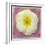 Primrose White-Cora Niele-Framed Giclee Print