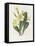 Primrose-Gwendolyn Babbitt-Framed Stretched Canvas