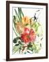 Primroses, 2005-Claudia Hutchins-Puechavy-Framed Giclee Print