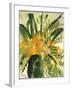 Primroses, 2005-Claudia Hutchins-Puechavy-Framed Giclee Print