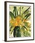 Primroses, 2005-Claudia Hutchins-Puechavy-Framed Giclee Print