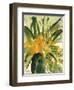 Primroses, 2005-Claudia Hutchins-Puechavy-Framed Giclee Print