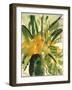 Primroses, 2005-Claudia Hutchins-Puechavy-Framed Giclee Print