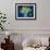 Primroses 2021 (oil)-Tilly Willis-Framed Giclee Print displayed on a wall