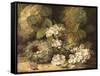 Primroses and Bird's Nests on a Mossy Bank, 1882-Oliver Clare-Framed Stretched Canvas