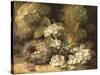 Primroses and Bird's Nests on a Mossy Bank, 1882-Oliver Clare-Stretched Canvas