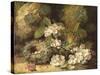 Primroses and Bird's Nests on a Mossy Bank, 1882-Oliver Clare-Stretched Canvas