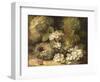 Primroses and Bird's Nests on a Mossy Bank, 1882-Oliver Clare-Framed Giclee Print