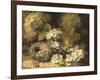 Primroses and Bird's Nests on a Mossy Bank, 1882-Oliver Clare-Framed Giclee Print