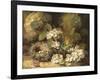 Primroses and Bird's Nests on a Mossy Bank, 1882-Oliver Clare-Framed Giclee Print