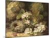 Primroses and Bird's Nests on a Mossy Bank, 1882-Oliver Clare-Mounted Giclee Print