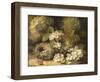 Primroses and Bird's Nests on a Mossy Bank, 1882-Oliver Clare-Framed Premium Giclee Print