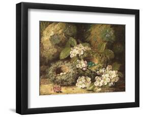 Primroses and Bird's Nests on a Mossy Bank, 1882-Oliver Clare-Framed Premium Giclee Print