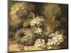 Primroses and Bird's Nests on a Mossy Bank, 1882-Oliver Clare-Mounted Premium Giclee Print