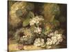 Primroses and Bird's Nests on a Mossy Bank, 1882-Oliver Clare-Stretched Canvas