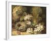 Primroses and Bird's Nests on a Mossy Bank, 1882-Oliver Clare-Framed Giclee Print