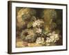 Primroses and Bird's Nests on a Mossy Bank, 1882-Oliver Clare-Framed Giclee Print