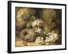 Primroses and Bird's Nests on a Mossy Bank, 1882-Oliver Clare-Framed Giclee Print