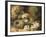 Primroses and Bird's Nests on a Mossy Bank, 1882-Oliver Clare-Framed Giclee Print