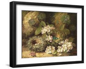 Primroses and Bird's Nests on a Mossy Bank, 1882-Oliver Clare-Framed Giclee Print