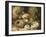 Primroses and Bird's Nests on a Mossy Bank, 1882-Oliver Clare-Framed Giclee Print