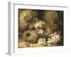 Primroses and Bird's Nests on a Mossy Bank, 1882-Oliver Clare-Framed Giclee Print