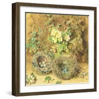 Primroses and Birds' Nests-William Henry Hunt-Framed Giclee Print