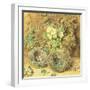 Primroses and Birds' Nests-William Henry Hunt-Framed Giclee Print