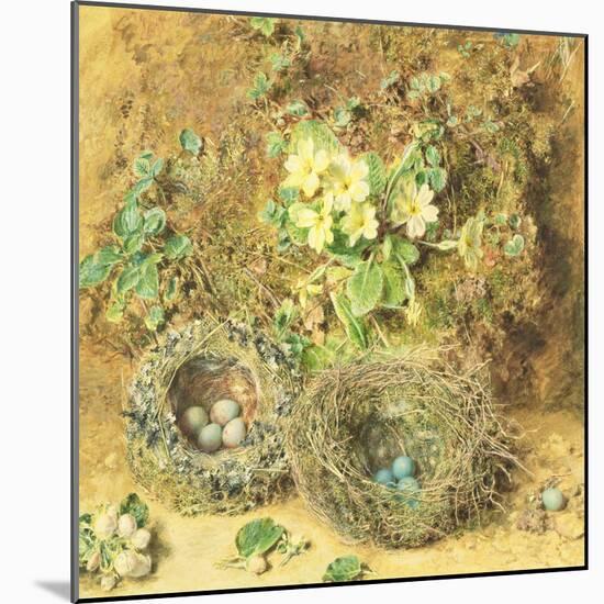 Primroses and Birds' Nests-William Henry Hunt-Mounted Giclee Print