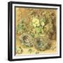 Primroses and Birds' Nests-William Henry Hunt-Framed Giclee Print