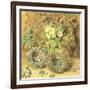 Primroses and Birds' Nests-William Henry Hunt-Framed Giclee Print