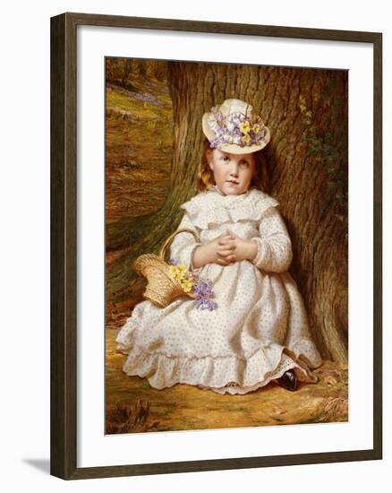 Primroses and Bluebells-Samuel Sidley-Framed Giclee Print