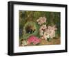 Primroses by a Bird's Nest (Oil on Canvas)-Oliver Clare-Framed Giclee Print