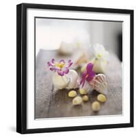 Primroses in Empty Snail Shells-Alena Hrbkova-Framed Photographic Print