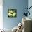 Primroses Spring-null-Framed Stretched Canvas displayed on a wall