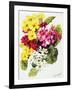 Primroses, White, Yellow, Pink and Red, 2000-Joan Thewsey-Framed Giclee Print