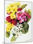 Primroses, White, Yellow, Pink and Red, 2000-Joan Thewsey-Mounted Giclee Print