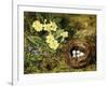 Primroses with a Bird's Nest-H. Bernard Grey-Framed Giclee Print