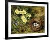 Primroses with a Bird's Nest-H. Bernard Grey-Framed Giclee Print