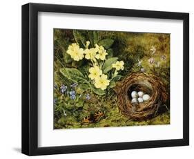 Primroses with a Bird's Nest-H. Bernard Grey-Framed Giclee Print