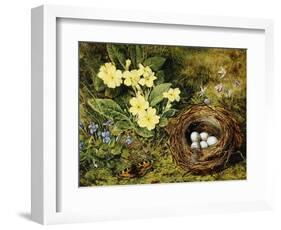 Primroses with a Bird's Nest-H. Bernard Grey-Framed Giclee Print