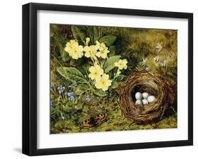 Primroses with a Bird's Nest-H. Bernard Grey-Framed Premium Giclee Print