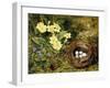 Primroses with a Bird's Nest-H. Bernard Grey-Framed Premium Giclee Print