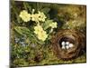 Primroses with a Bird's Nest-H. Bernard Grey-Mounted Premium Giclee Print
