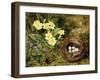 Primroses with a Bird's Nest-H. Bernard Grey-Framed Giclee Print