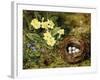 Primroses with a Bird's Nest-H. Bernard Grey-Framed Giclee Print