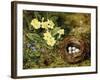 Primroses with a Bird's Nest-H. Bernard Grey-Framed Giclee Print