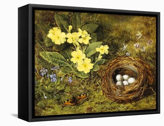 Primroses with a Bird's Nest-H. Barnard Grey-Framed Stretched Canvas