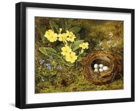 Primroses with a Bird's Nest-H. Barnard Grey-Framed Giclee Print