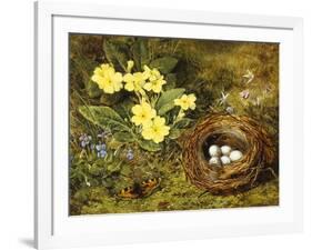 Primroses with a Bird's Nest-H. Barnard Grey-Framed Giclee Print